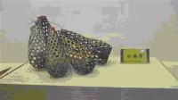 藏品(小魚筌)的圖片
