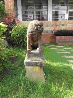 藏品(?犬石雕(1))的圖片