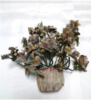 藏品(銀票花(盆花))的圖片