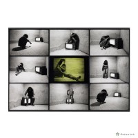 藏品(生活舞台)的圖片