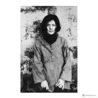 藏品(凝聚)的圖片