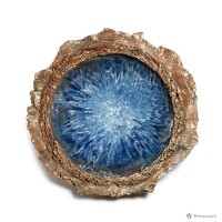 藏品(匯聚)的圖片