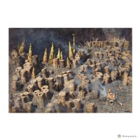 藏品(浴火重生)的圖片