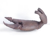 藏品(殘存)的圖片