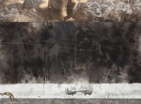 藏品(極形)的圖片