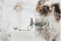 藏品(擬態後的語言)的圖片