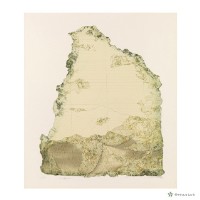 藏品(39葉形III)的圖片