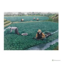 藏品(菱角園風光)的圖片