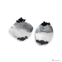 藏品(花影露映)的圖片