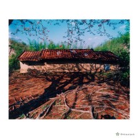 藏品(農村印象)的圖片