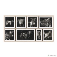 藏品(八老爺．牛)的圖片