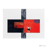 藏品(夢的羽雲)的圖片