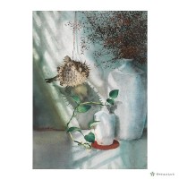 藏品(午後)的圖片