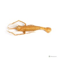 藏品(蝦子掛式花器)的圖片