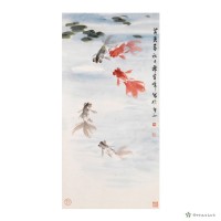 藏品(金魚)的圖片