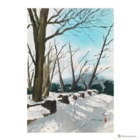 藏品(遍影雪地)的圖片