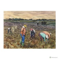 藏品(晨)的圖片