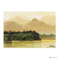 藏品(迎向光明)的圖片