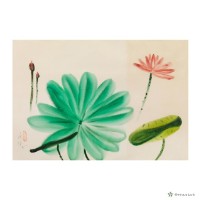 藏品(荷)的圖片