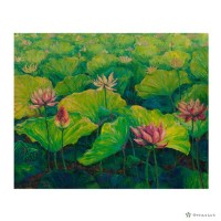 藏品(夏荷)的圖片