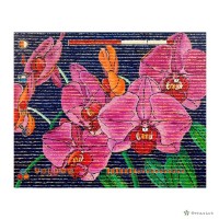 藏品(蘭的栽培法)的圖片