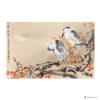 藏品(棲)的圖片