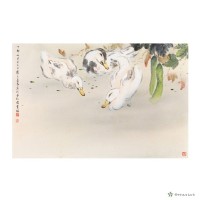 藏品(鵝)的圖片