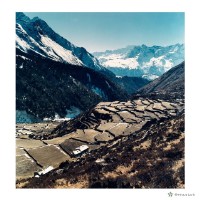藏品(喜馬拉雅山之旅—馬鈴薯梯田)的圖片