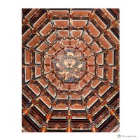 藏品(蜘蛛結網)的圖片