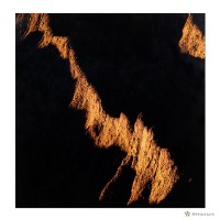 藏品(草山)的圖片