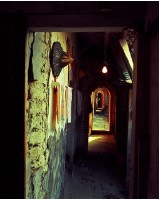 藏品(歲月穿堂過)的圖片