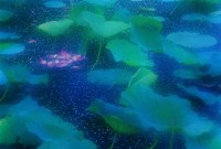 藏品(巴克禮之夢)的圖片