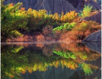 藏品(童話小湖)的圖片