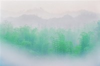 藏品(新綠)的圖片