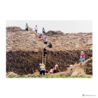 藏品(下營鄉/農田生活)的圖片