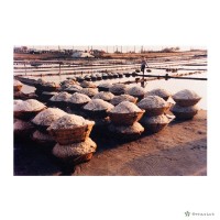 藏品(北門鄉/鹽田)的圖片