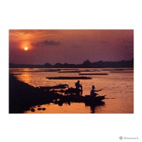 藏品(雙春/晨之美)的圖片