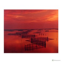 藏品(七股鄉/夕照網罟)的圖片