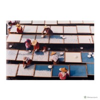 藏品(學甲鎮/篩選)的圖片