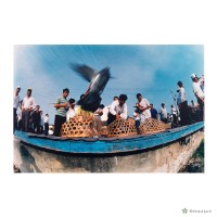 藏品(鹽水鎮/鴿笭賽場)的圖片