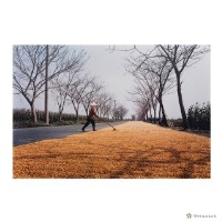 藏品(官田鄉/勤)的圖片