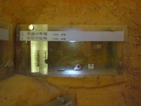 藏品(素燒四繫罐.幾何印紋陶（4塊）)的圖片