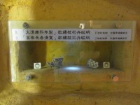 藏品(大清康熙年製款纏枝花卉紋碗、宴樂長春清賞款纏枝花卉紋碗殘片)的圖片