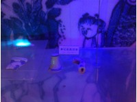 藏品(青花瓷壺流嘴殘片（2塊）)的圖片