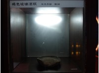 藏品(褐色玻璃酒瓶殘片)的圖片