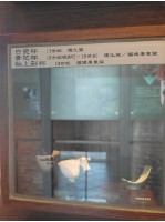 藏品(白瓷杯、青花杯、釉上彩杯殘片)的圖片