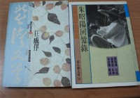 藏品(狂成仔(廖清秀著))的圖片