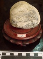 藏品(圖案石)的圖片