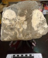 藏品(礦石)的圖片