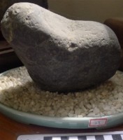 藏品(礦石)的圖片